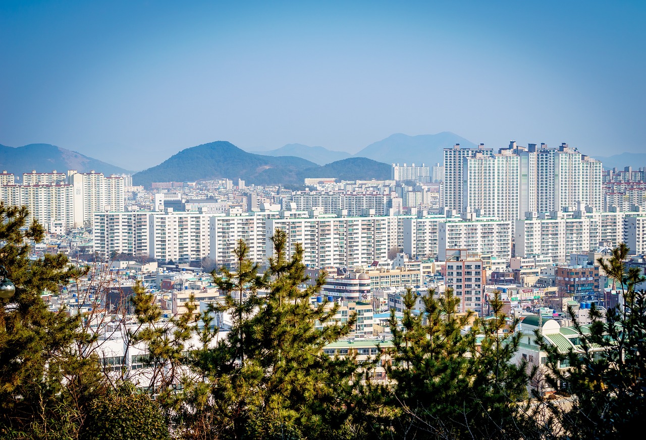 党杨路市中段最新规划，揭晓未来城市蓝图的发展篇章