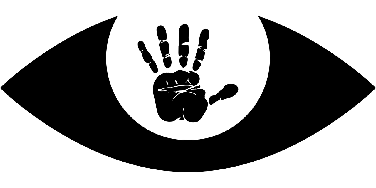 湛江麻章最新招聘信息概览，最新职位与招聘动态更新